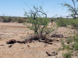 Petr a Katka na Continetal divide trail – New Mexico